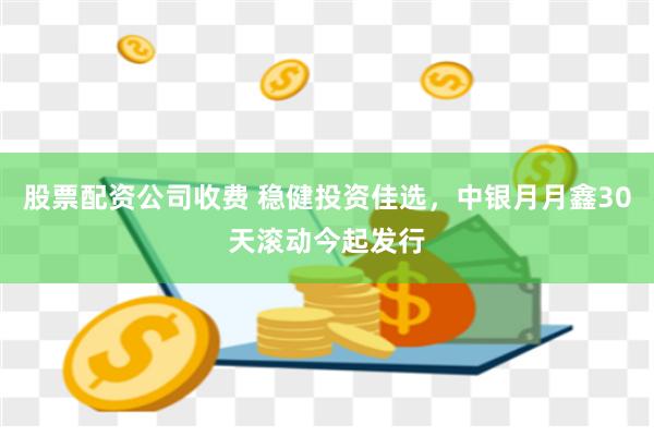 股票配资公司收费 稳健投资佳选，中银月月鑫30天滚动今起发行