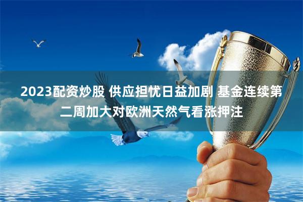 2023配资炒股 供应担忧日益加剧 基金连续第二周加大对欧洲天然气看涨押注