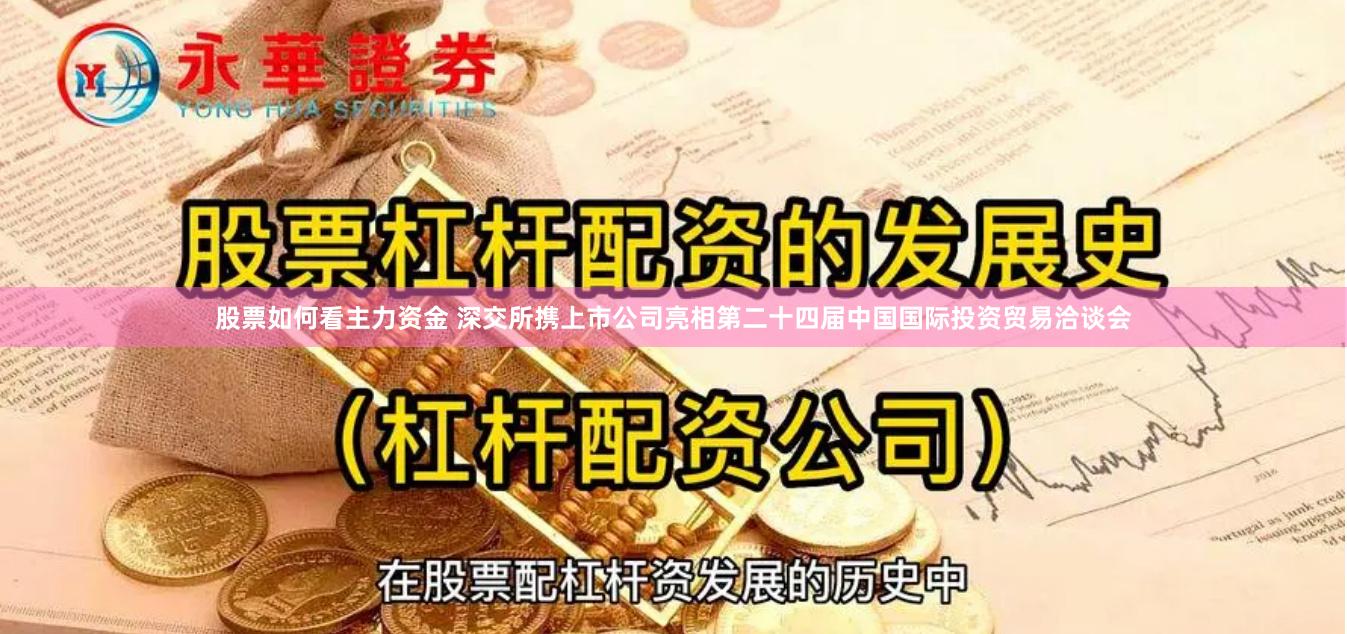 股票如何看主力资金 深交所携上市公司亮相第二十四届中国国际投资贸易洽谈会