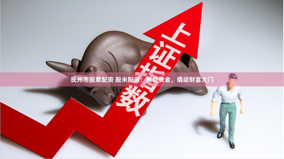 抚州市股票配资 股米配资：解锁资金，撬动财富大门